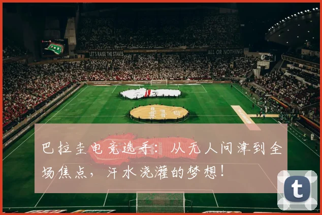 巴拉圭电竞选手:从无人问津到全场焦点,汗水浇灌的梦想!