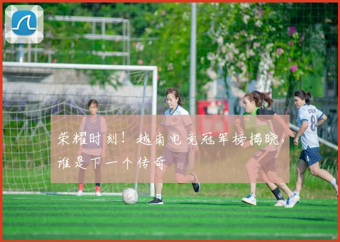 荣耀时刻！越南电竞冠军榜揭晓，谁是下一个传奇